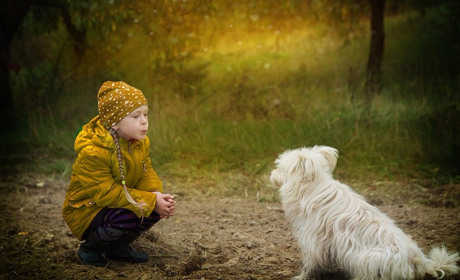 Маленькие мелитопольцы научат добру взрослых