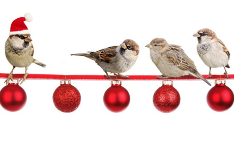 5 справ, які варто зробити за три тижні до Нового року