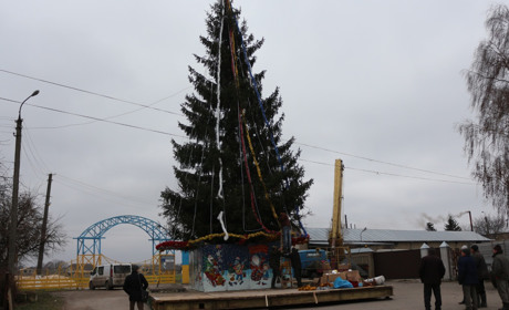 Наша міська ялинка буде вищою від ялинки у Хмельницькому