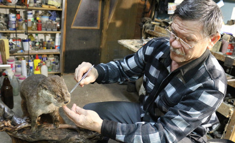 Таксидерміст Петро Пшеничний виготовляв навіть опудала лева