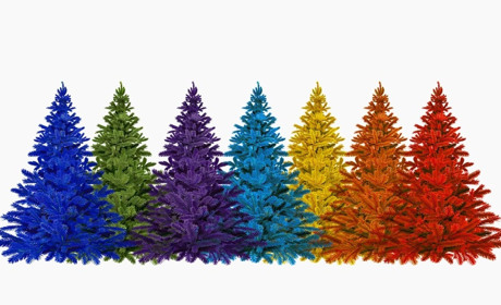 Тест-гра: шукаємо ялинки у місті