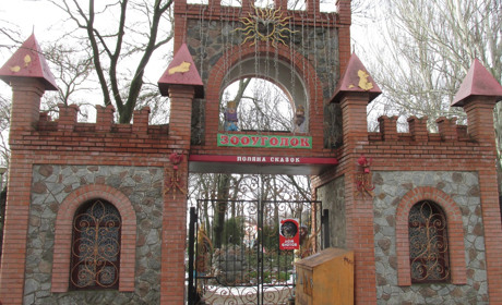 "Гадкие утята" скоро станут красавцами-лебедями: в мелитопольском парке осваиваются новые питомцы