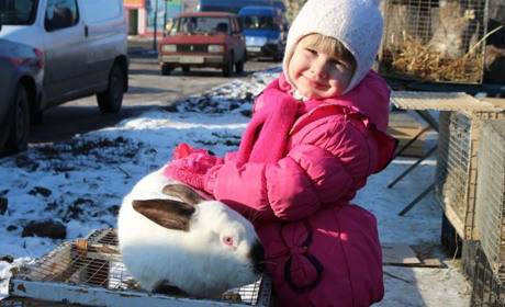 Фоторепортаж. Кролі до 10 кілограм і голландські гуси за тисячу гривень
