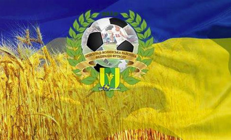 Новоград-Волинську районну федерацію футболу визнали кращою в області