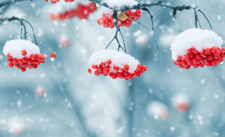 Зимовий Старокостянтинів у  підбірці  фото з Instagram