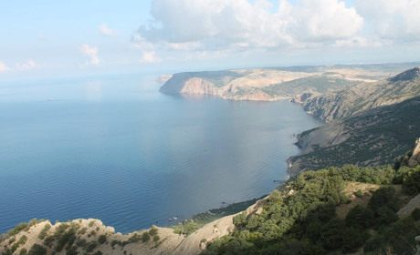 Ксения Негрей: "Деньги на патроны мы им не повезем..."