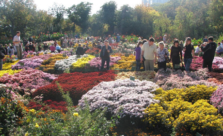 Надежда Серских: "Крым с 1998 года был нашим домом"