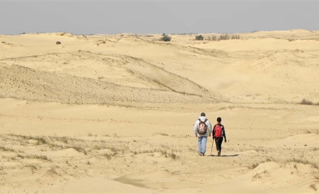 Нова Каховка хоче скоротити офіційну площу Олешківських пісків