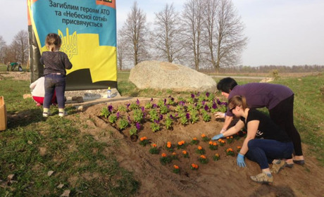 Ялини, туї та квіти: активісти продовжили висадку дерев у парку Пам'яті Нескорених поблизу Новограда