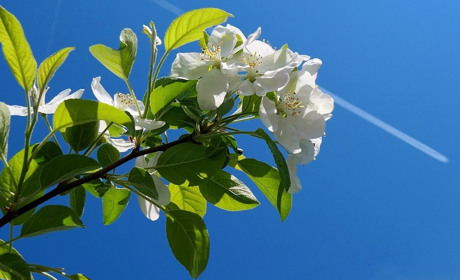 Яку погоду чекати на травневі? 