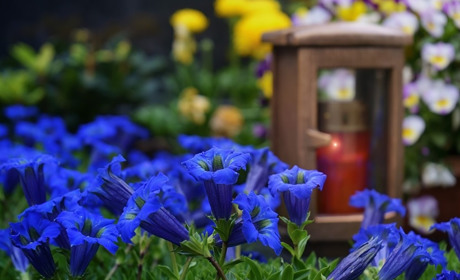 На трьох старих міських кладовищах у Біляївці закінчуються місця: що з цим робитимуть? 