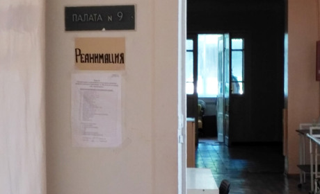 Змея укусила в огороде - пострадавшая жительница Мелитополя находится в реанимации