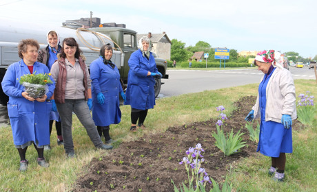 Місто квітуватиме до пізньої осені: які квіти висаджують у Старконі