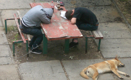 Запускаємо новий проект "Свідок"