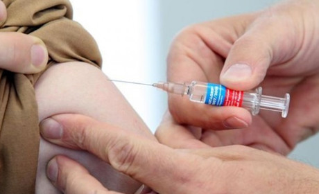 Лікарня Новограда закупить вакцини від сказу на 120 тисяч гривень