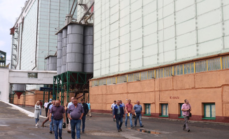 Старокостянтинівський елеватор — лідер по заготівлі зерна серед 55 філій України*