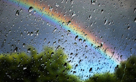 Коли чекати літа у Старконі?