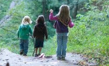 У Станьковій на Калущині у лісі шукали дітей. Допомогли лісоруби