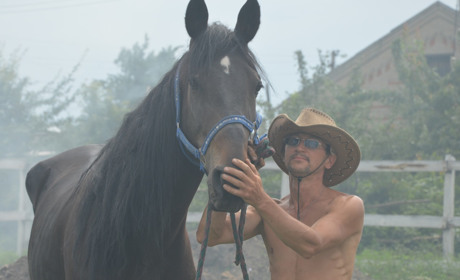 Як коня Гая врятували від скотобійні у його день народження