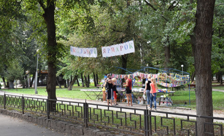 У Новограді відкрився шкільний ярмарок