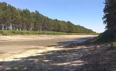 В Новогригорівці Волноваського району висохла водойма: відео