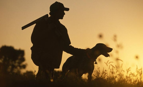 У Сватівському районі відкривається сезон полювання. Вперше з 2014 року