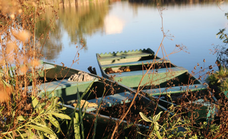Останні теплі дні у Старконі. Фоторепортаж