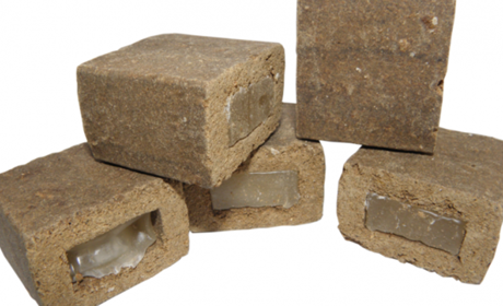 На Сірогозщині розкидатимуть з літака їстівні брикетики з вакциною від сказу для диких тварин