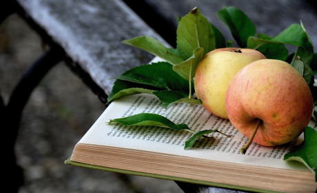 Час читати книги: які бібліотеки працюють у місті