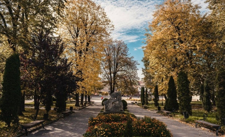 Події, які варто відвідати в Калуші та Івано-Франківську 4-7 жовтня
