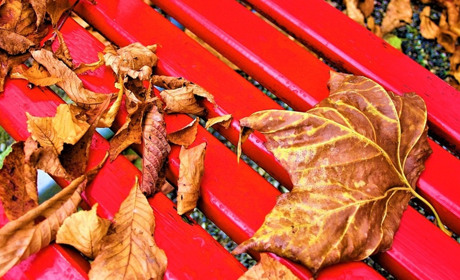 Жовтень сюрпризів: які зміни чекають старокостянтинівців