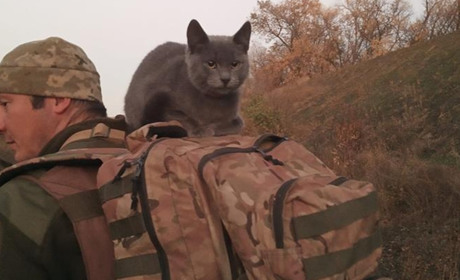 Огляд соцмереж: що обговорювали троїчани на тижні