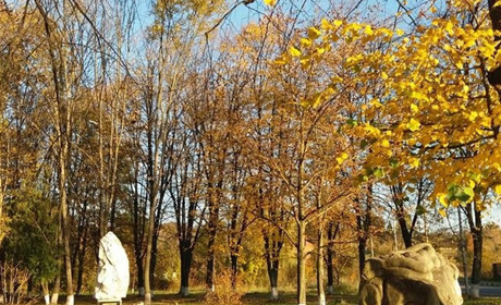 Антициклон Viktor приніс в Україну тепло