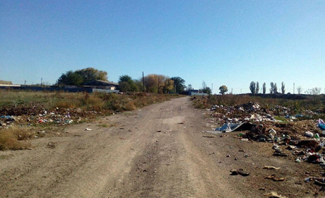 Жителька села Вільне знайшла скелет зниклої жінки