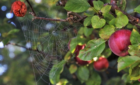Ще один тиждень бабиного літа: якою буде погода у Старокостянтинові 12-19 жовтня
