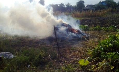 Чому не можна спалювати листя й суху траву та куди звертатися коли це роблять інші