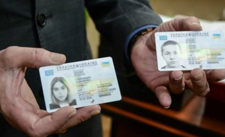 З 1 листопада сірогозці можуть оформити ID-картку через онлайн-сервіс