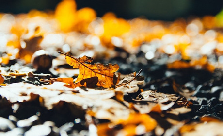 Тепло утікає : якою буде погода у Старокостянтинові 19-26 жовтня