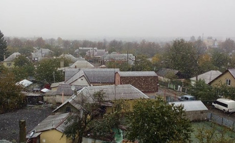 Волноваху накрив аномальний снігопад у жовтні: фото та відео