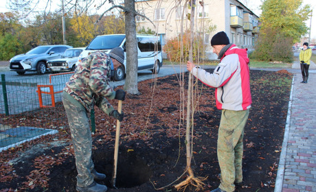 Огляд соцмереж: найбільше постів про висадження дерев 