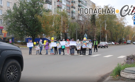 Социальная акция «Дети - за безопасные дороги!» прошла в Попасной: видео 