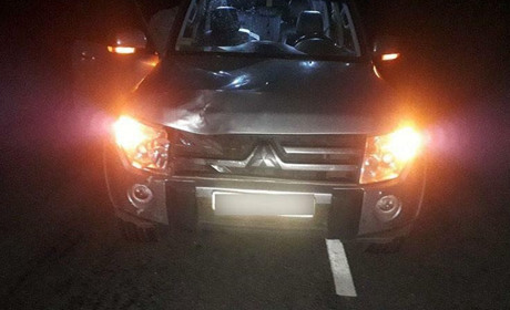 У Волноваському районі водій Mitsubishi насмерть збив велосипедиста