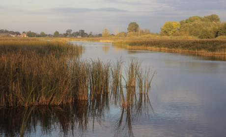 Холодніше, але з плюсом: погода у Старокостянтинові на 2-9 листопада