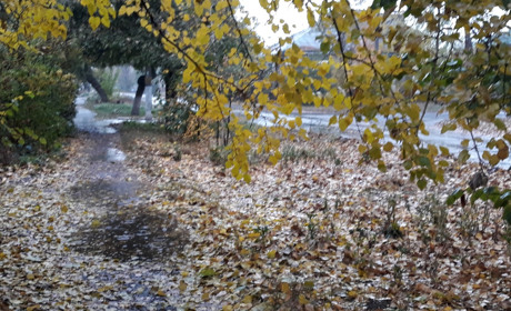 Яким буде листопад на Петропавлівщині