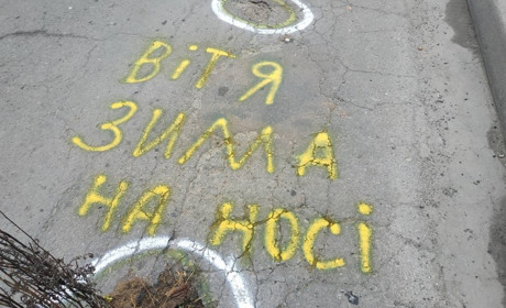 У Новограді знову на дорогах виросли кущі: хто це робить