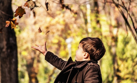 Канікули у першій школі продовжили ще (Оновлено)