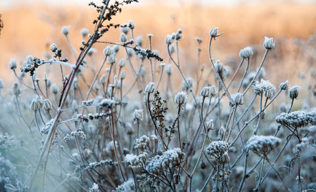 На Донетчину идет похолодание