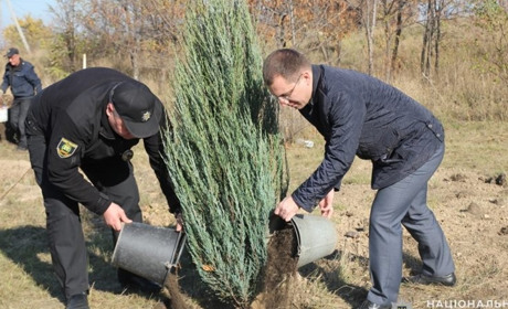 Судьи, полицейские и прокуроры Торецка высадили туи