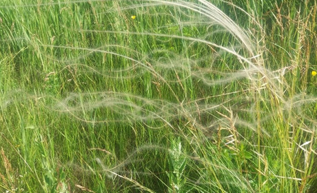 Гра. Перевіряємо знання з географії України