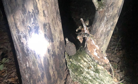 Троїцькі піротехніки знешкодили снаряди і міни часів Другої світової війни